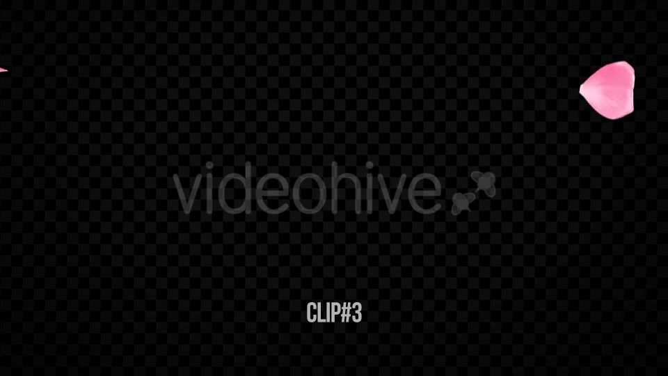 Pink Rose Transitions Videohive 21359339 Motion Graphics Image 10