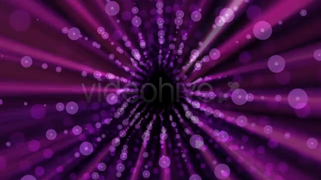 Plexo Led (5 Pack) Videohive 6749751 Motion Graphics Image 3