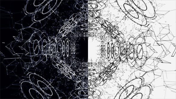 Plexus Abstract Black and White Hi Tech Network - Videohive 19948159 Download