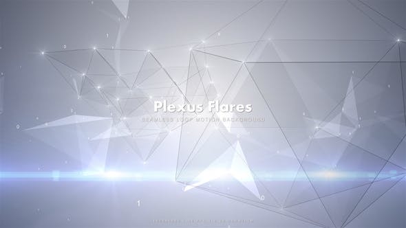 Plexus and Flares 3 - Videohive Download 15247766