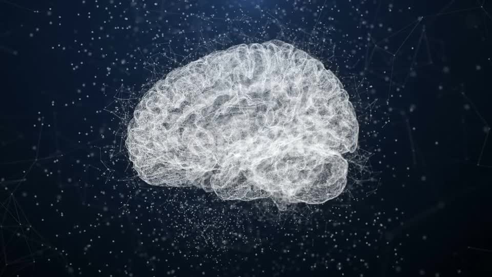 Plexus Brain Videohive 22662770 Motion Graphics Image 1