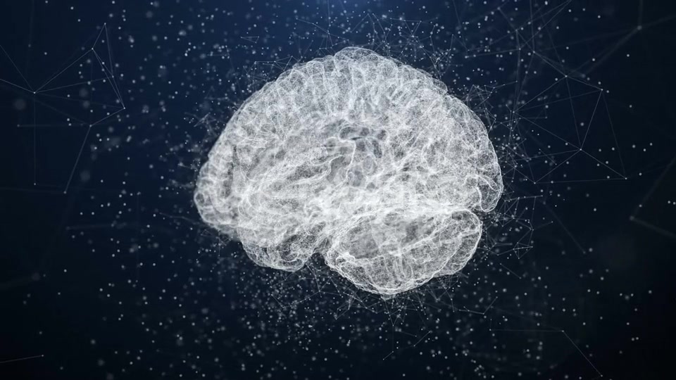 Plexus Brain Videohive 22662770 Motion Graphics Image 11