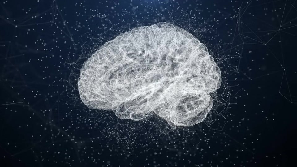 Plexus Brain Videohive 22662770 Motion Graphics Image 12