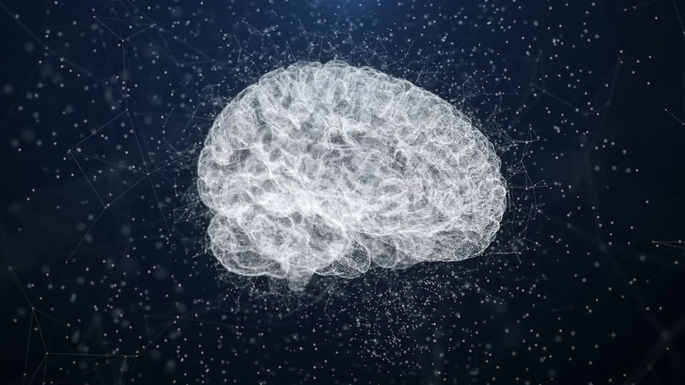 Plexus Brain Videohive 22662770 Motion Graphics Image 5
