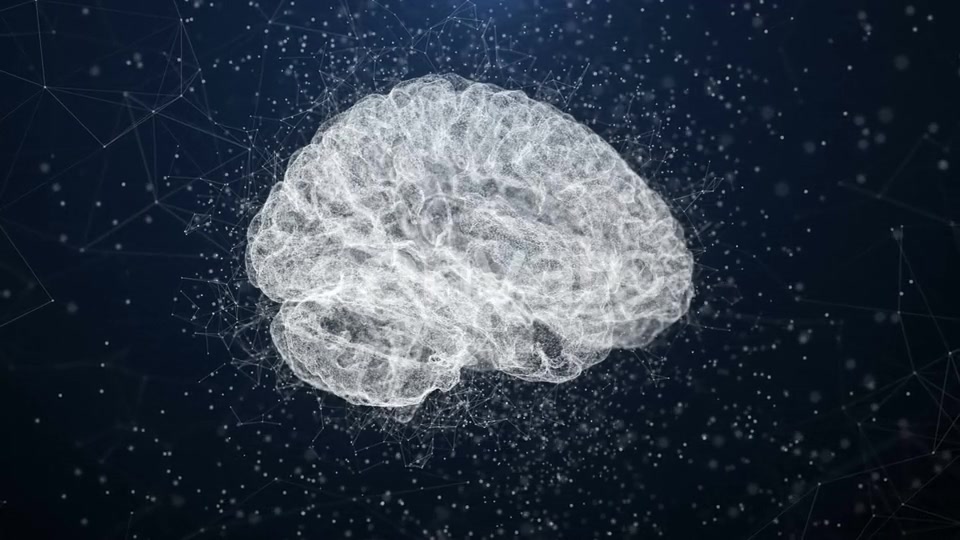 Plexus Brain Videohive 22662770 Motion Graphics Image 7