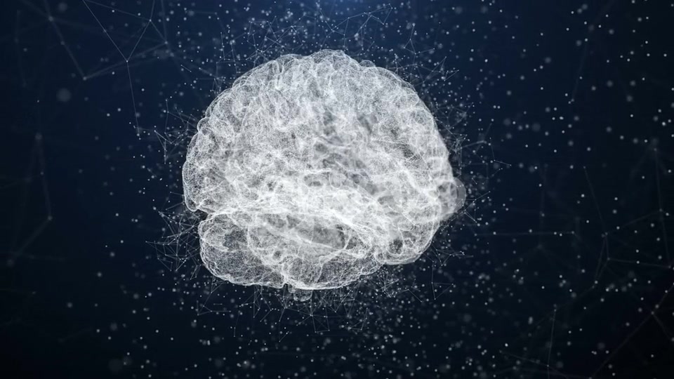 Plexus Brain Videohive 22662770 Motion Graphics Image 8