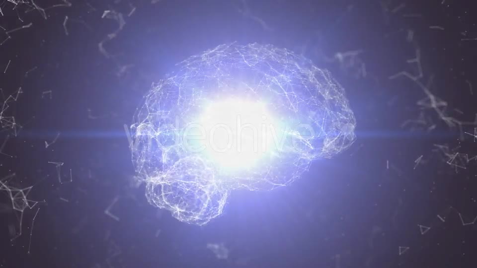 Plexus Brain Rotation #1 Videohive 19173286 Motion Graphics Image 10