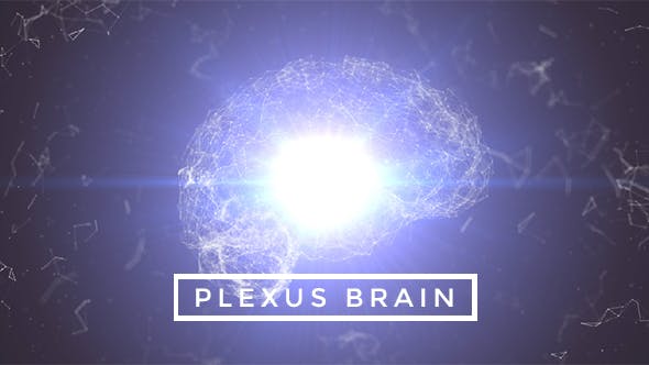 Plexus Brain Rotation #1 - 19173286 Videohive Download