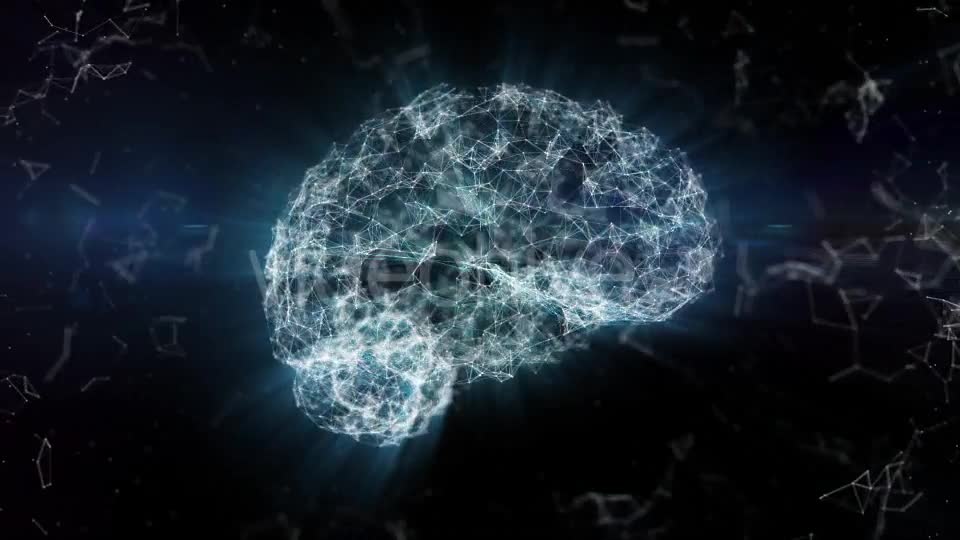 Plexus Brain Rotation #2 Videohive 19173314 Motion Graphics Image 1