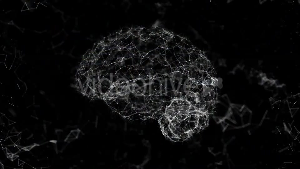 Plexus Brain Rotation #3 Videohive 19173342 Motion Graphics Image 6