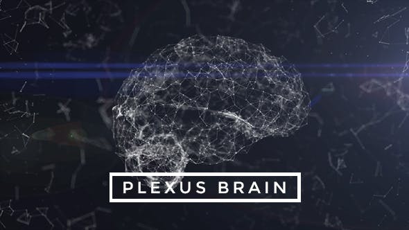 Plexus Brain Rotation #3 - Videohive 19173342 Download