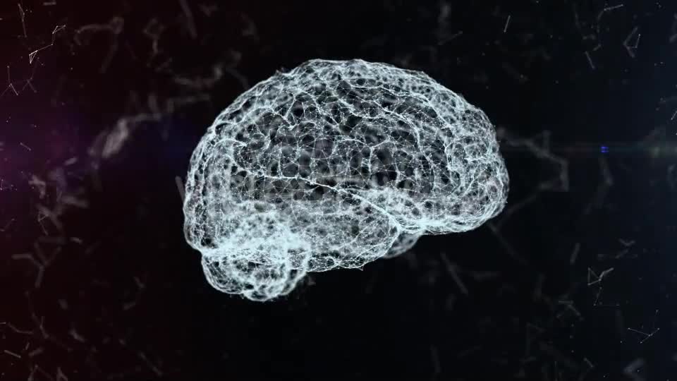 Plexus Brain Rotation #4 Videohive 19173652 Motion Graphics Image 1