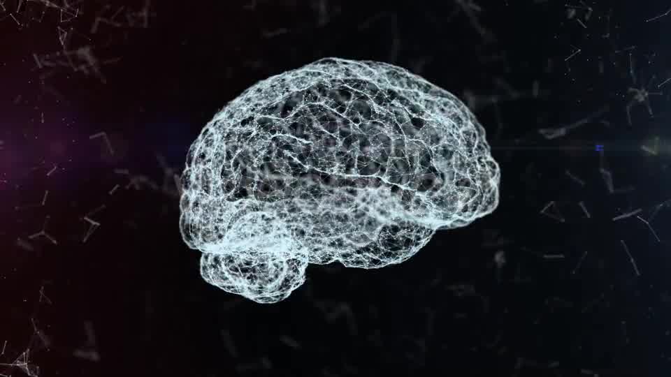 Plexus Brain Rotation #4 Videohive 19173652 Motion Graphics Image 10