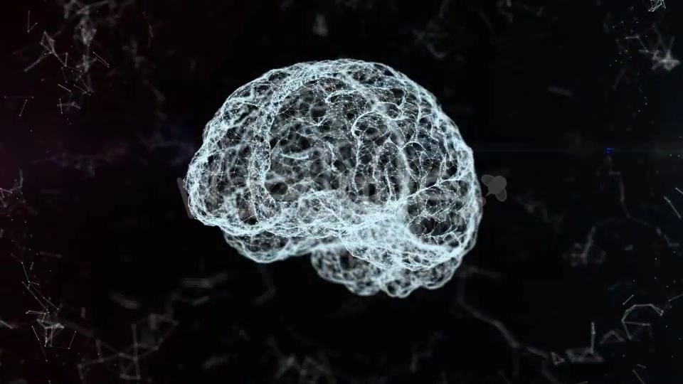 Plexus Brain Rotation #4 Videohive 19173652 Motion Graphics Image 4