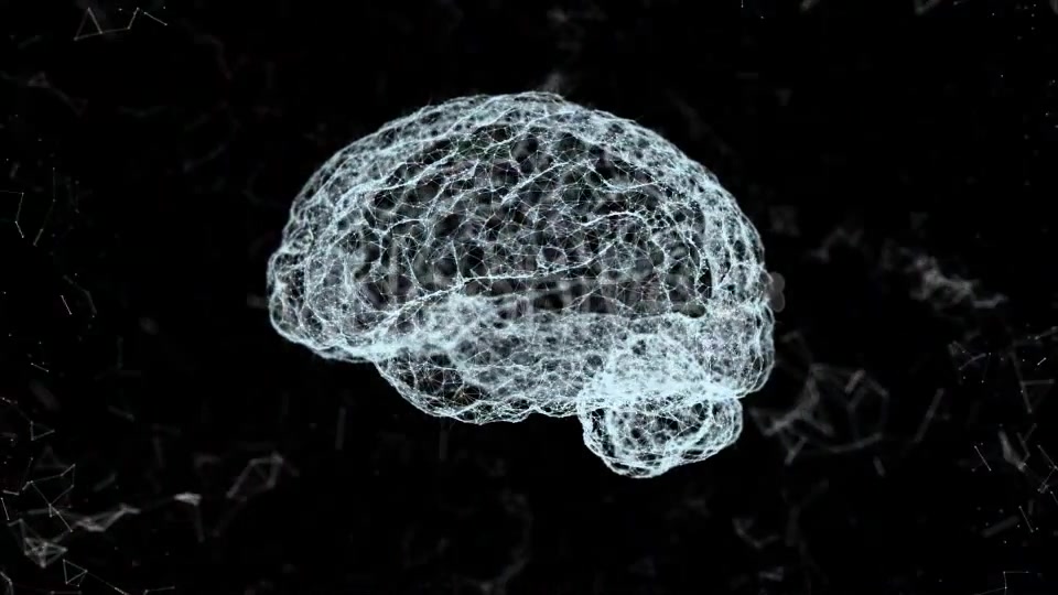 Plexus Brain Rotation #4 Videohive 19173652 Motion Graphics Image 6