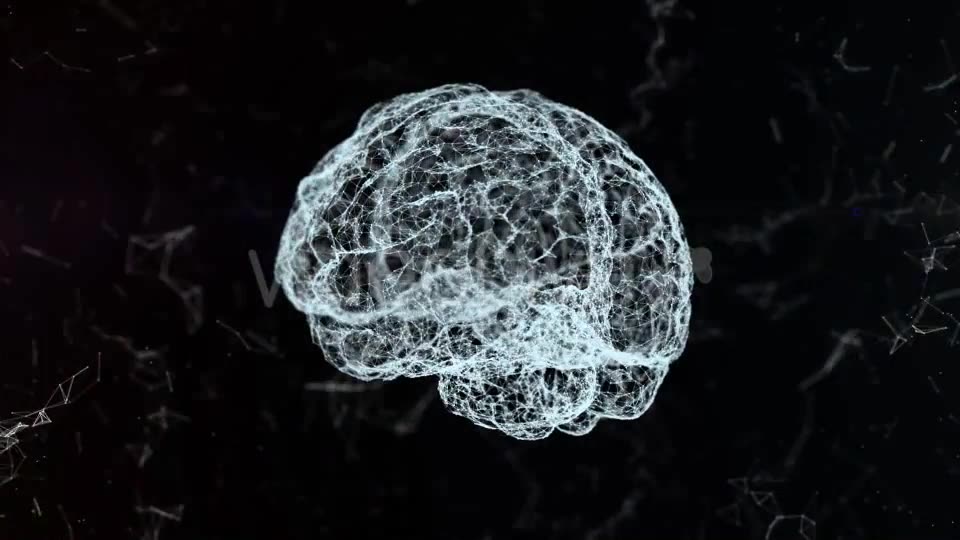 Plexus Brain Rotation #4 Videohive 19173652 Motion Graphics Image 7