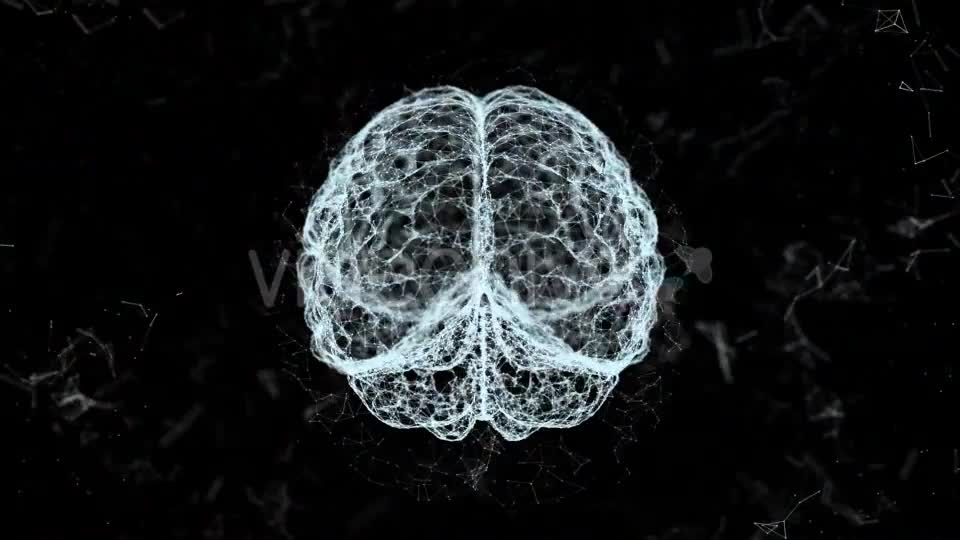 Plexus Brain Rotation #4 Videohive 19173652 Motion Graphics Image 8