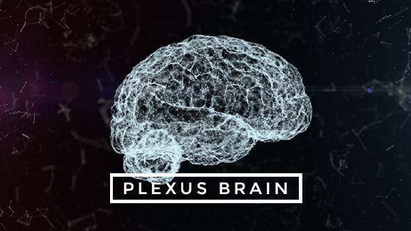 Plexus Brain Rotation #4 - Download 19173652 Videohive