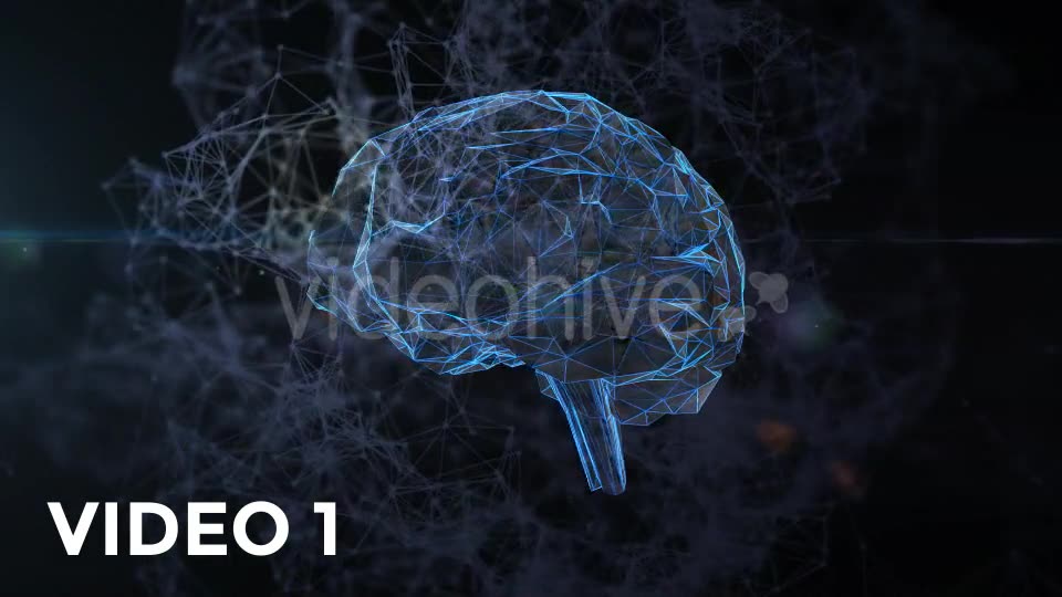 Plexus Brain Rotation #6 Videohive 19217845 Motion Graphics Image 2