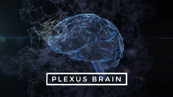 Plexus Brain Rotation #6 - 19217845 Videohive Download