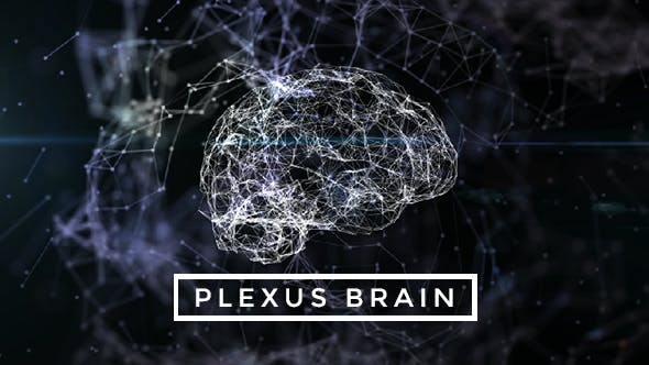 Plexus Brain Rotation #7 - Videohive Download 19217962