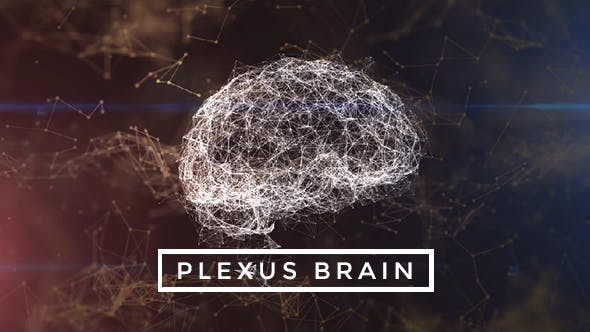 Plexus Brain Rotation #8 - 19219406 Download Videohive