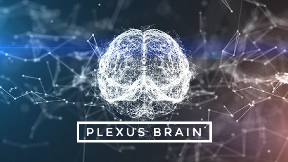 Plexus Brain Rotation #9 - 19218249 Videohive Download