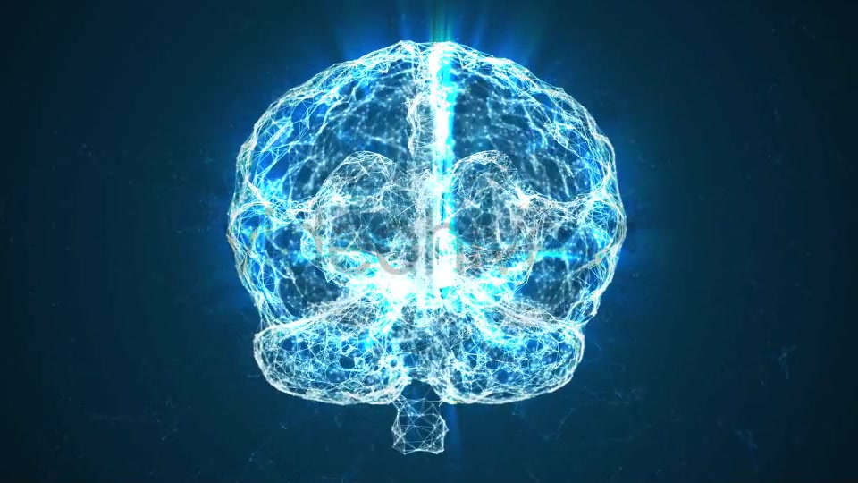 Plexus Brain Rotation Videohive 18649786 Motion Graphics Image 3