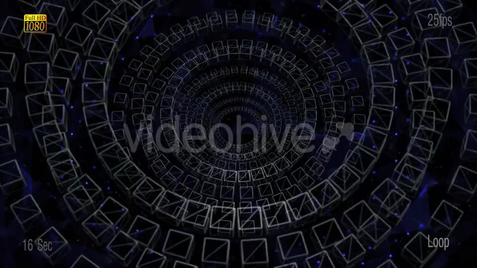 Plexus Circle Videohive 19448775 Motion Graphics Image 2