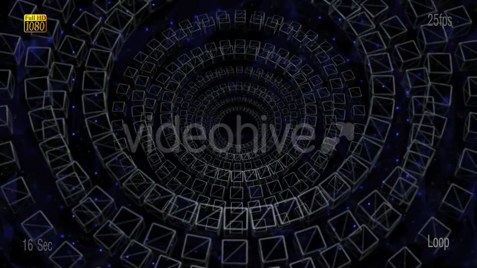 Plexus Circle Videohive 19448775 Motion Graphics Image 3
