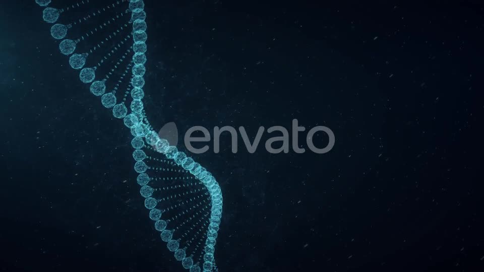 Plexus DNA Videohive 23294956 Motion Graphics Image 1