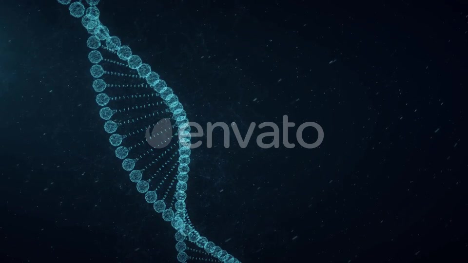 Plexus DNA Videohive 23294956 Motion Graphics Image 11