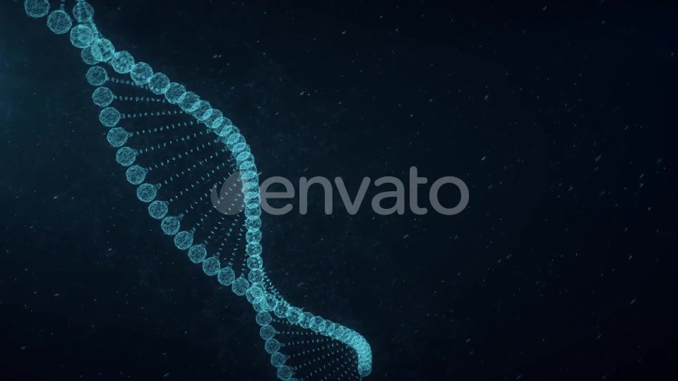 Plexus DNA Videohive 23294956 Motion Graphics Image 4