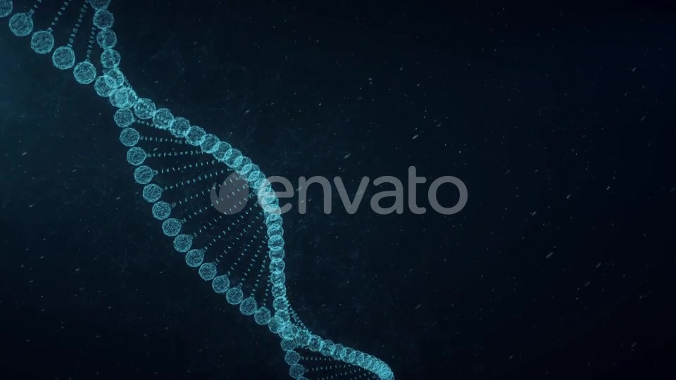 Plexus DNA Videohive 23294956 Motion Graphics Image 5
