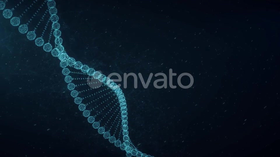Plexus DNA Videohive 23294956 Motion Graphics Image 6