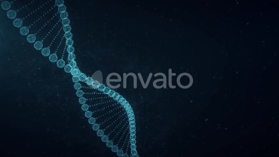 Plexus DNA Videohive 23294956 Motion Graphics Image 7