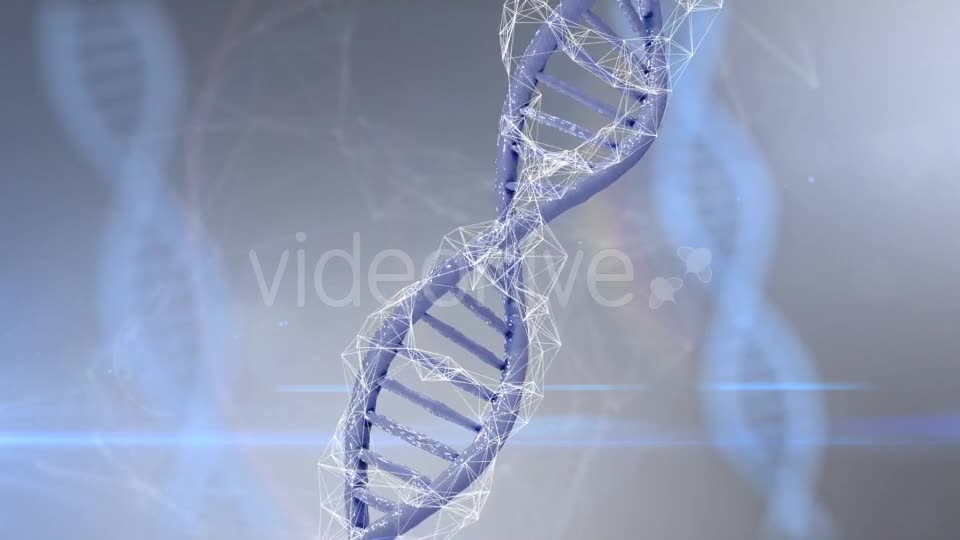 Plexus DNA Strand #4 Videohive 19382340 Motion Graphics Image 1