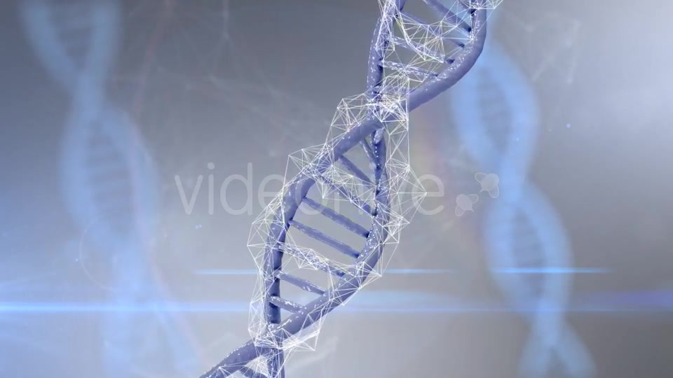 Plexus DNA Strand #4 Videohive 19382340 Motion Graphics Image 2