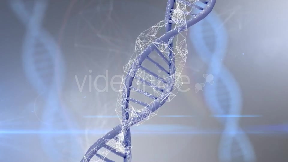 Plexus DNA Strand #4 Videohive 19382340 Motion Graphics Image 3