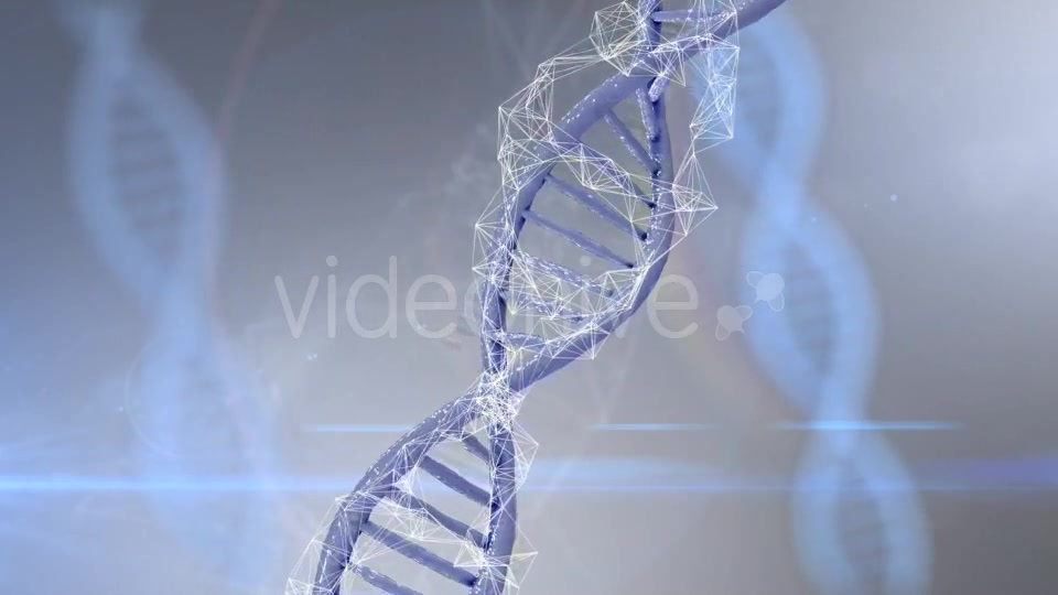 Plexus DNA Strand #4 Videohive 19382340 Motion Graphics Image 4