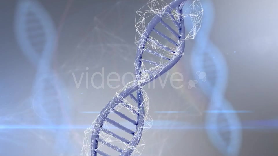Plexus DNA Strand #4 Videohive 19382340 Motion Graphics Image 5