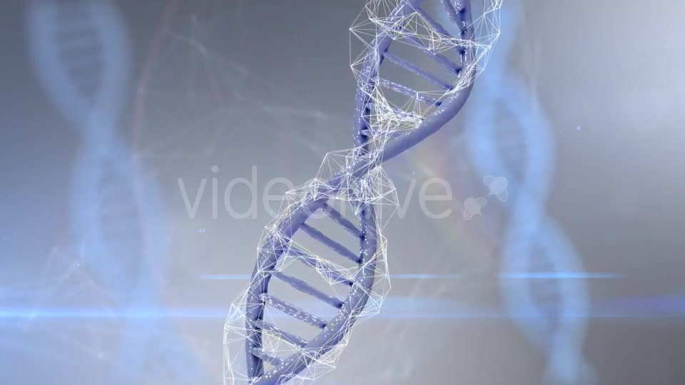 Plexus DNA Strand #4 Videohive 19382340 Motion Graphics Image 6
