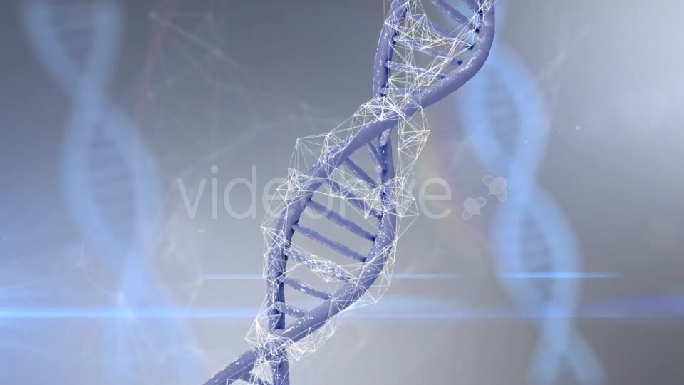 Plexus DNA Strand #4 Videohive 19382340 Motion Graphics Image 7