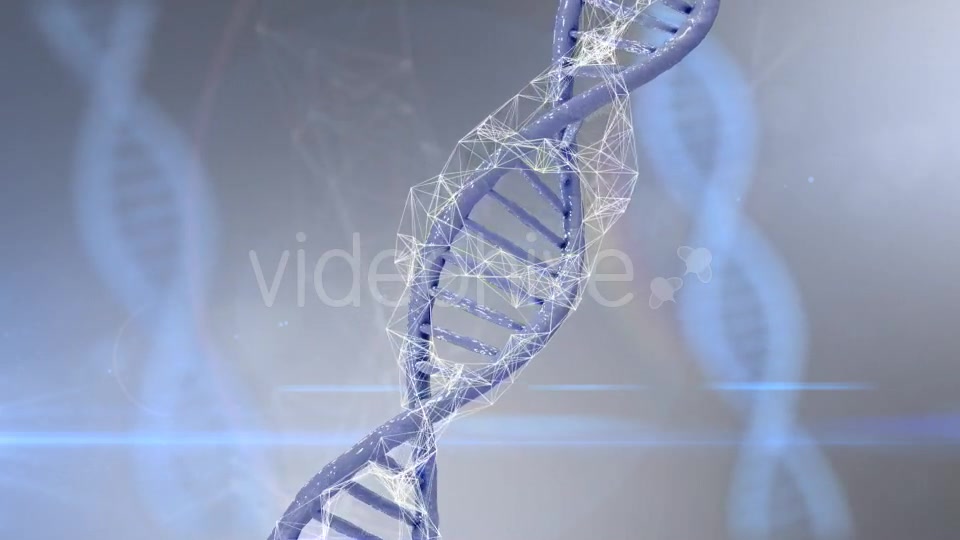 Plexus DNA Strand #4 Videohive 19382340 Motion Graphics Image 8