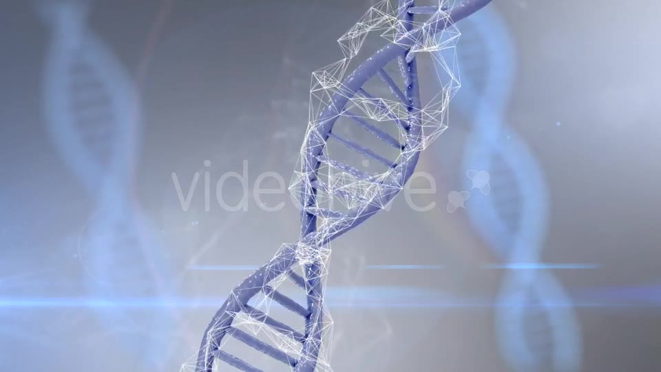 Plexus DNA Strand #4 Videohive 19382340 Motion Graphics Image 9