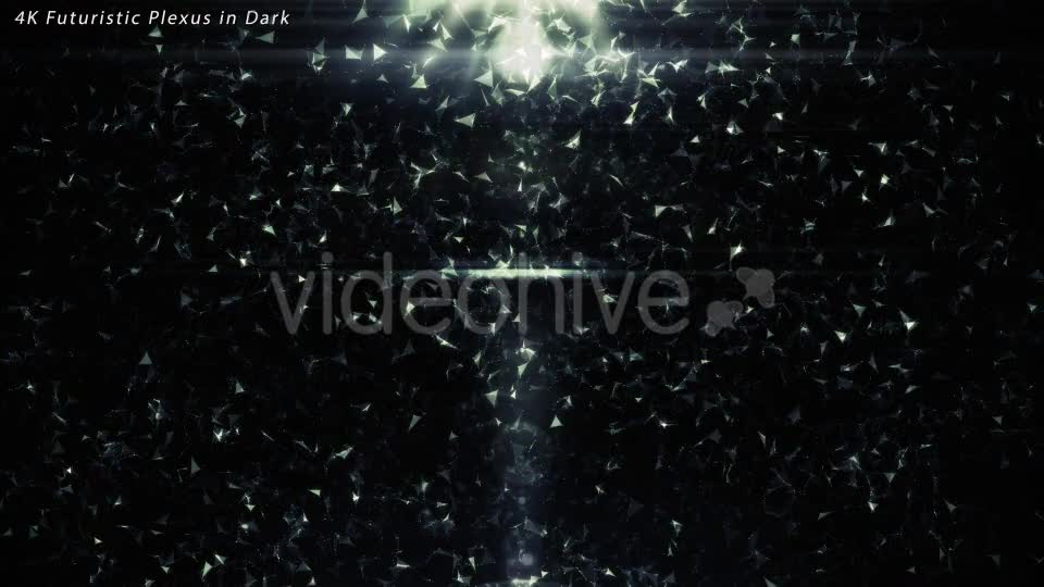 Plexus in Dark Videohive 10267350 Motion Graphics Image 1