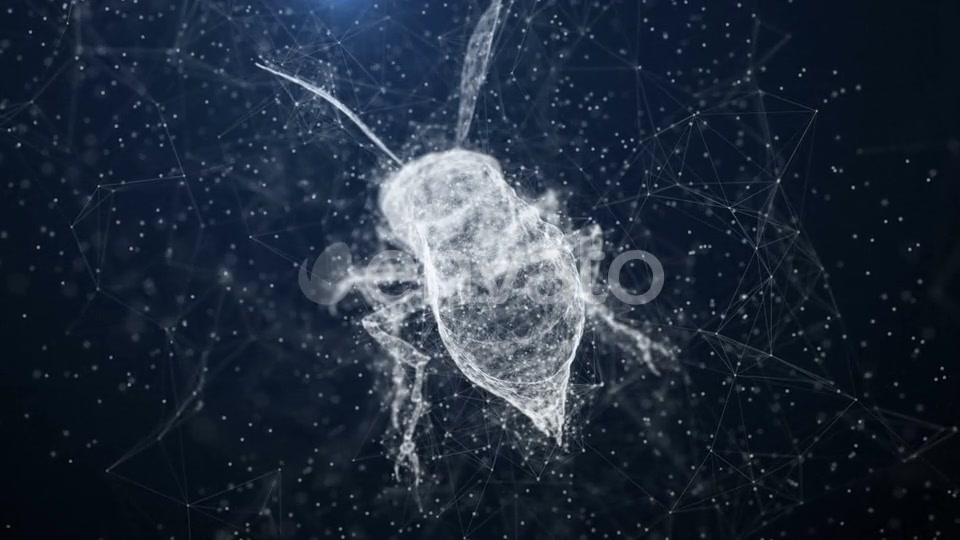 Plexus Insect Videohive 22652450 Motion Graphics Image 8