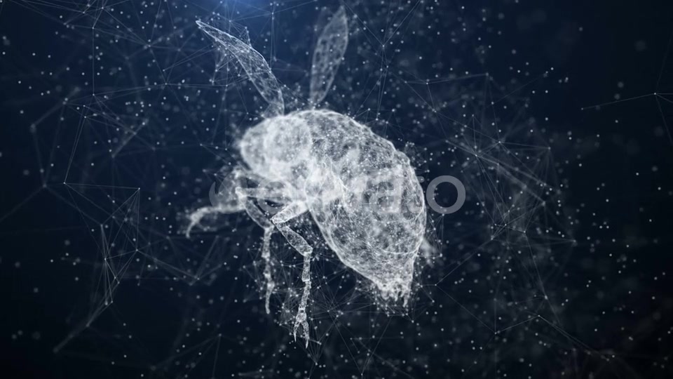 Plexus Insect Videohive 22652450 Motion Graphics Image 9