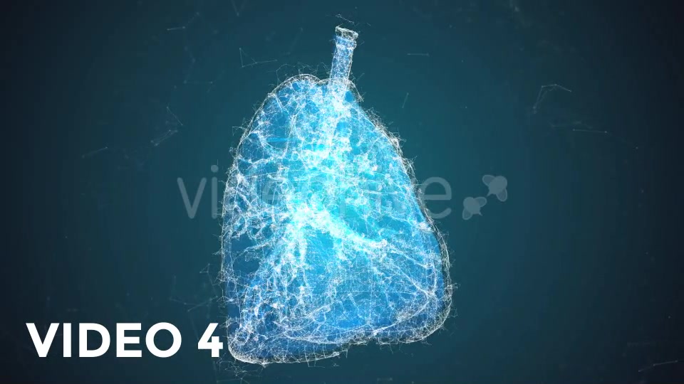 Plexus Lungs Rotation Pack Videohive 19135580 Motion Graphics Image 10