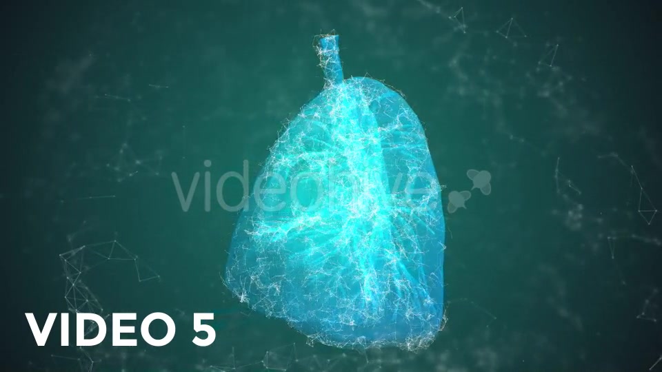 Plexus Lungs Rotation Pack Videohive 19135580 Motion Graphics Image 11